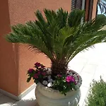 Degli Scrittori 4*