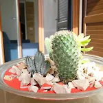 Degli Scrittori 住宿加早餐酒店 4*