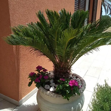 Degli Scrittori 4*